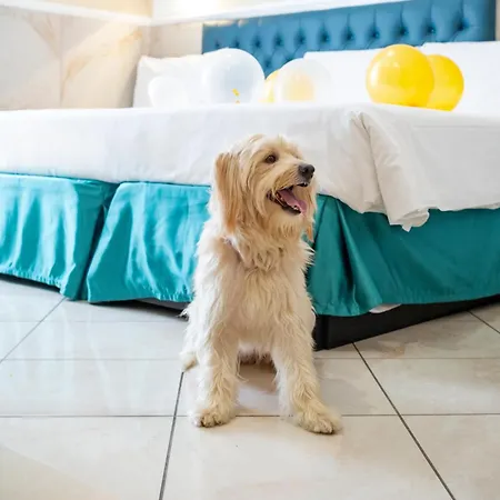 Caesar מלון רומא