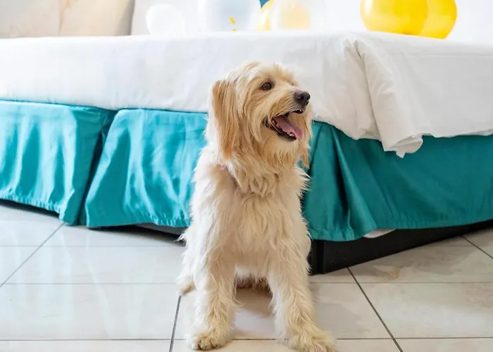 Caesar Szálloda Róma